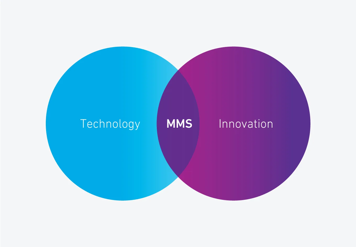 MMS project view 3